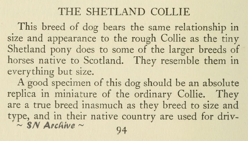 The Complete Dog Book Page 94