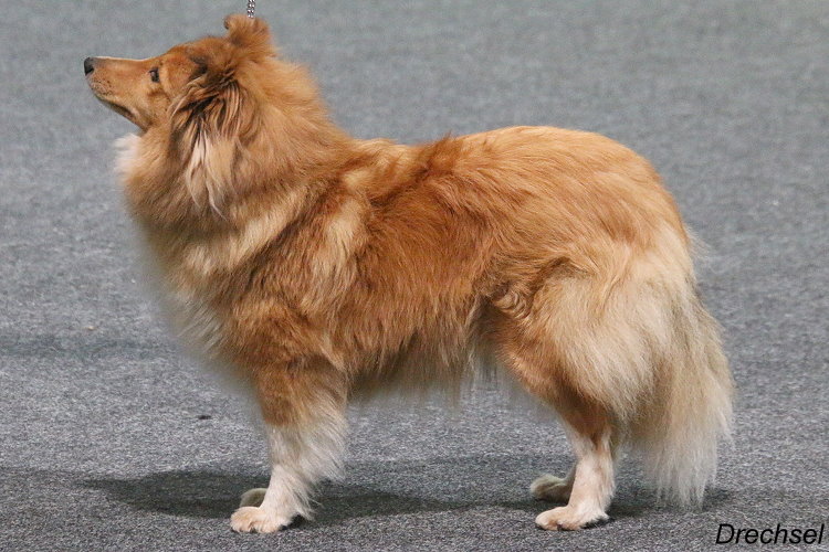 OKH: Filippa Fabelhaft vom Affinger Bach