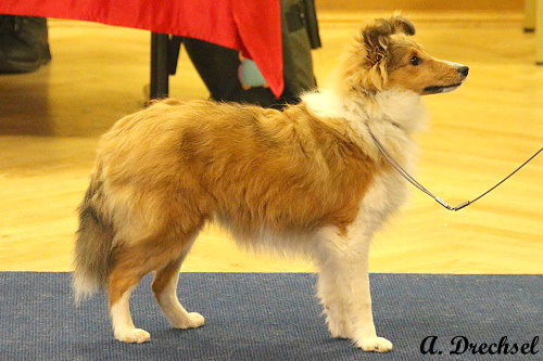 Anette von der Knüppel-Avenue (WKH)