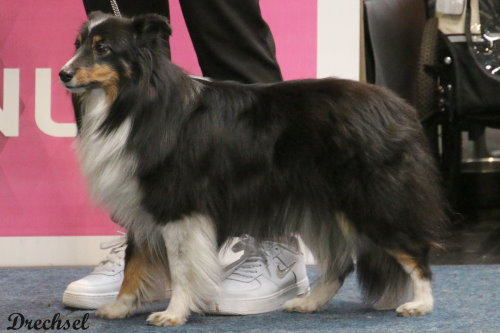 Bnita Hot Summer Girl