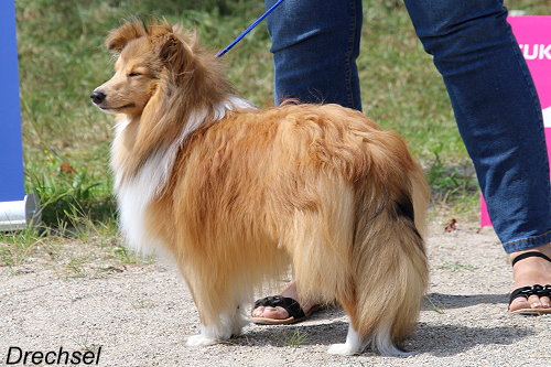 Cupcake z Hermanova dvora