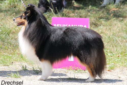 Tycancy Into The Dark