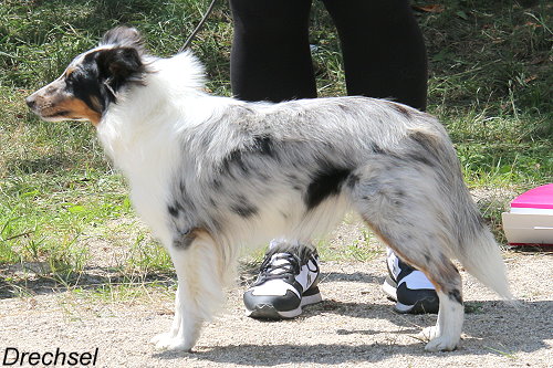 Ann Dante from Shamrock River