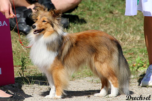 Take me Home Tinkerbell von der alten Birke