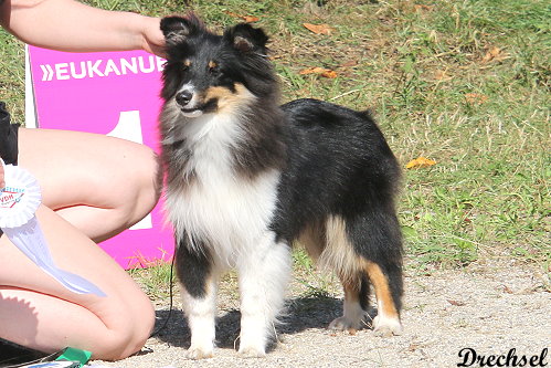 Xceed All Limits von der alten Birke