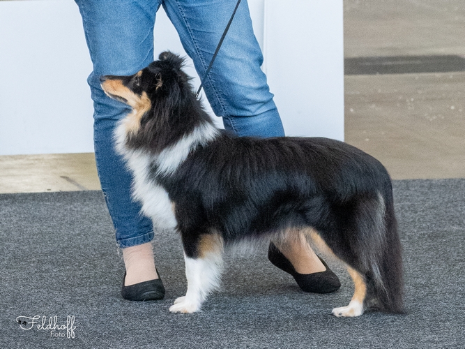 ZwKH Always on my mind von Solingen-Wald