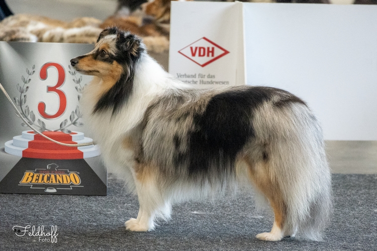 JKH KarlaKolumna vom Nixenteich