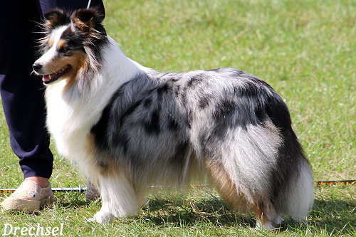 ChKH Mira Banda Karlika