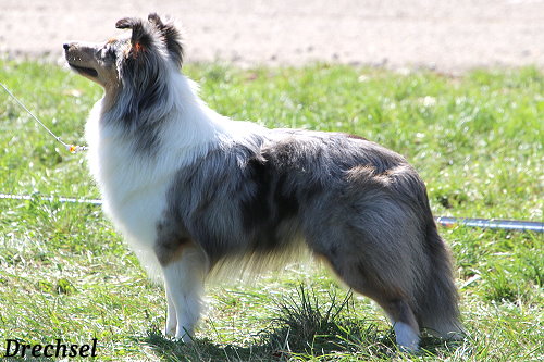 JKH Imogen Ice Onyx Garden