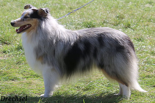 JKH Nic Pe's Heaven on Earth