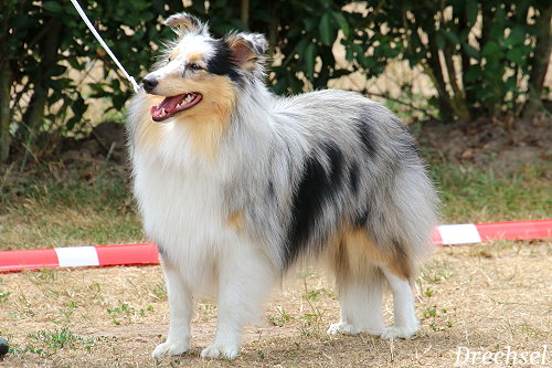 JKH Nic Pe's Heaven on Earth