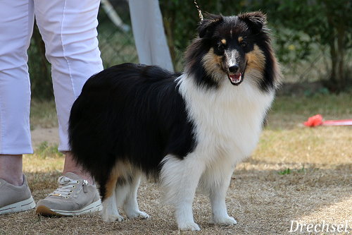 JüKH Untouchable Trust 't Wijnmeer