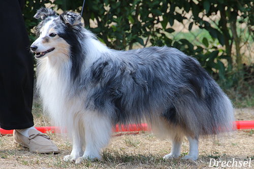 VKH Eowyn of powerful mind