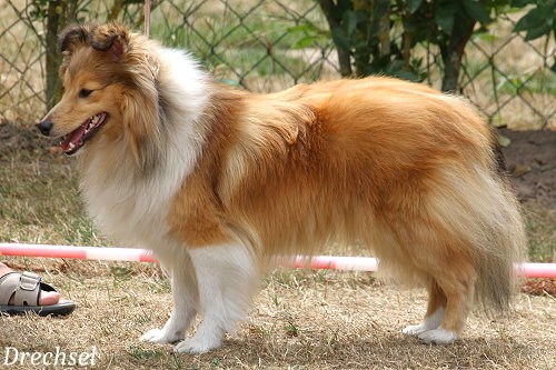 ZKH Oana Enya am Woogbach