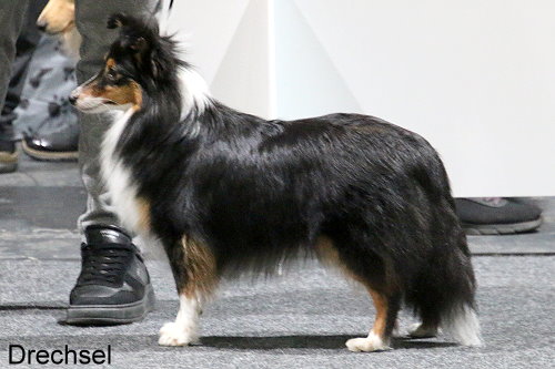 Amideros Law of Attraction