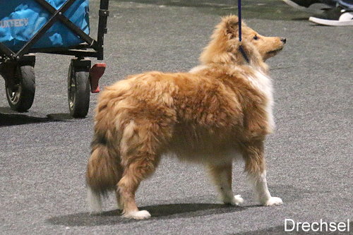 Cupcake z Hermanova dvora