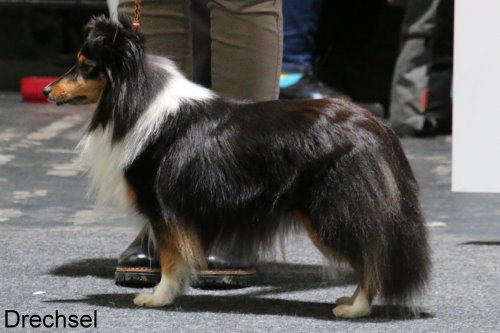 Elza Black von den Maustadt-Briten