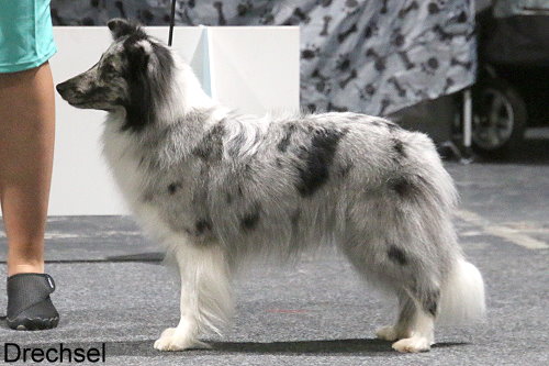 Juni A Bolt From The Blue