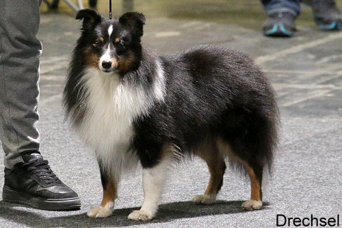 Hipp with eager to work