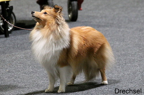 Oana Enya am Woogbach